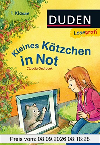 Leseprofi - Kleines Kätzchen in Not, 1. Klasse