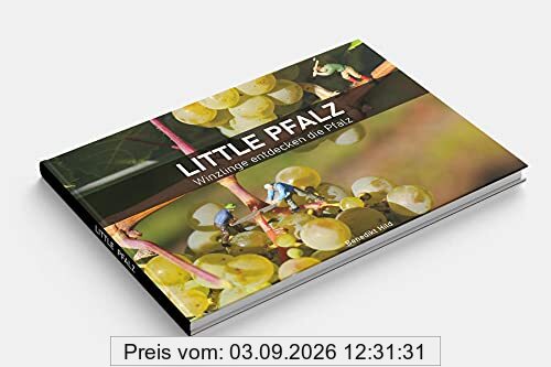 Little Pfalz: Winzlinge entdecken die Pfalz