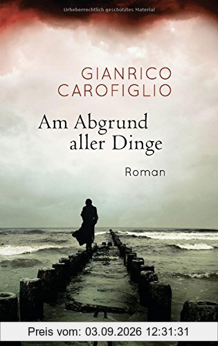 Am Abgrund aller Dinge: Roman