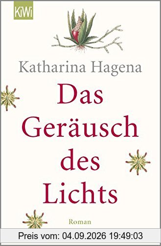 Das Geräusch des Lichts: Roman