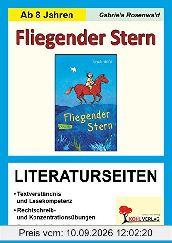 Fliegender Stern - Literaturseiten: Kopiervorlagen zur kapitelweisen Aufarbeitung der Lektüre