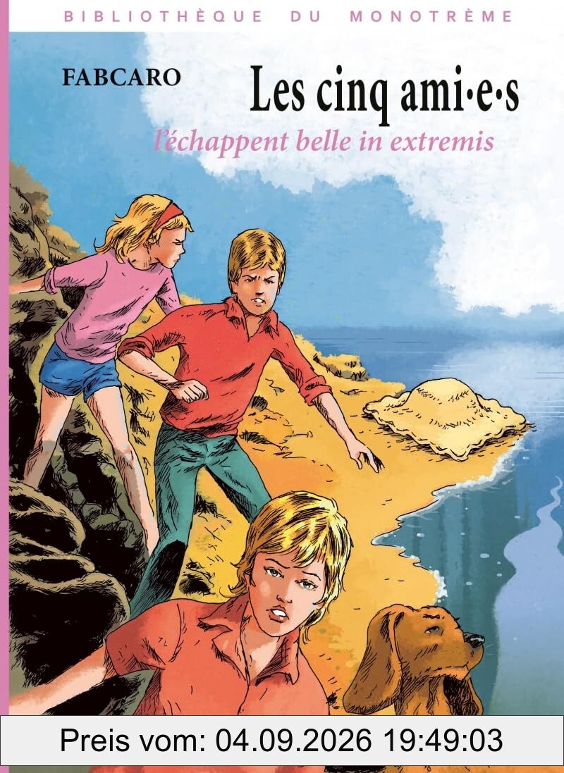 Les cinq ami.e.s l'échappent belle in extremis