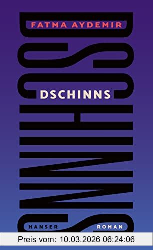 Fatma Aydemir Dschinns, Roman