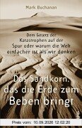 Das Sandkorn, das die Erde zum Beben bringt: Dem Gesetz der Katastrophen auf der Spur oder warum die Welt einfacher ist, als wir denken