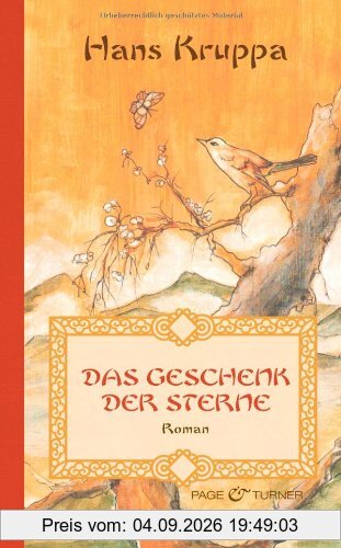 Das Geschenk der Sterne: Roman