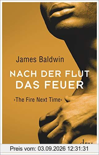 Nach der Flut das Feuer: The Fire Next Time