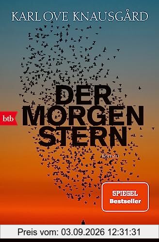 Der Morgenstern: Roman