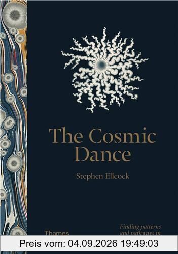 The Cosmic Dance: Finding Patterns and Pathways in a Chaotic Universe