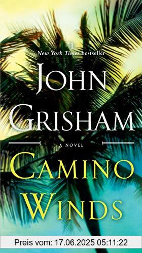 Brand : BANTAM TRADE, Binding : Taschenbuch, Label : Dell, Publisher : Dell, medium : Taschenbuch, numberOfPages : 352, publicationDate : 2021-02-23, releaseDate : 2021-02-23, authors : John Grisham, ISBN : 059315777X