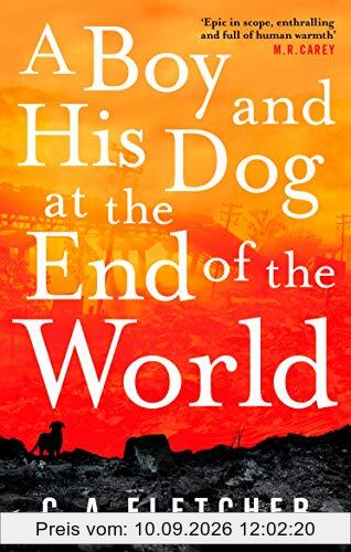 A Boy and his Dog at the End of the World
