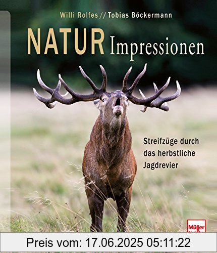 Binding : Gebundene Ausgabe, Edition : 1, Label : Müller Rüschlikon, Publisher : Müller Rüschlikon, medium : Gebundene Ausgabe, numberOfPages : 176, publicationDate : 2014-09-26, authors : Willi Rolfes, Tobias Böckermann, languages : german, ISBN : 3275020021