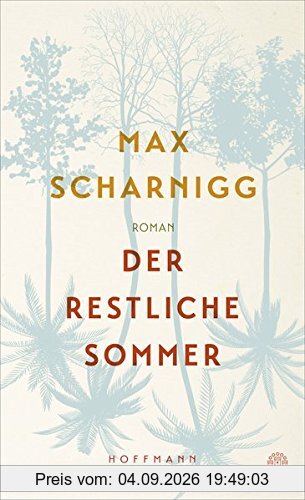 Der restliche Sommer: Roman