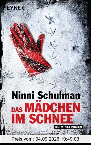 Das Mädchen im Schnee: Roman