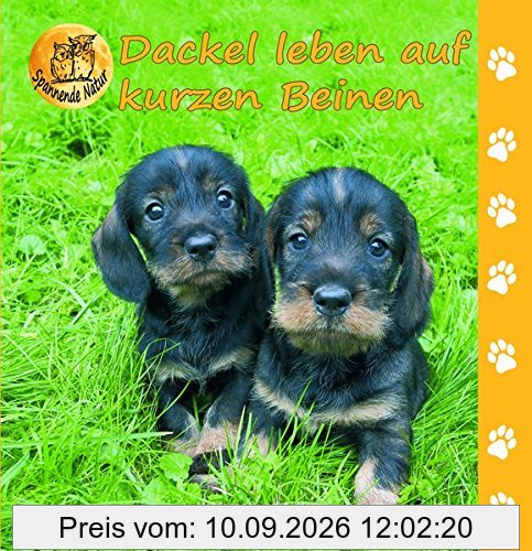 Dackel leben auf kurzen Beinen (Spannende Natur)