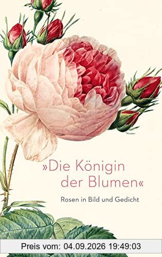 »Die Königin der Blumen«: Rosen in Bild und Gedicht