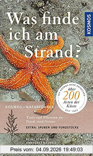 Was finde ich am Strand?