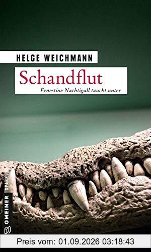 Schandflut: Kriminalroman (Historikerin Tinne Nachtigall) (Kriminalromane im GMEINER-Verlag)