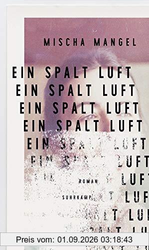 Ein Spalt Luft: Roman