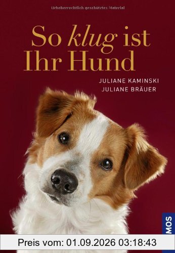 So klug ist Ihr Hund