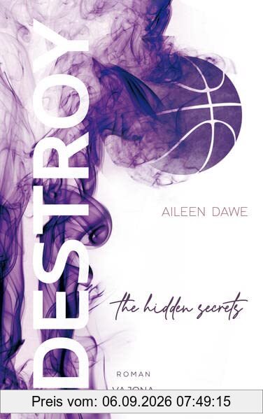 DESTROY the hidden secrets (DESTROY-Reihe 1)