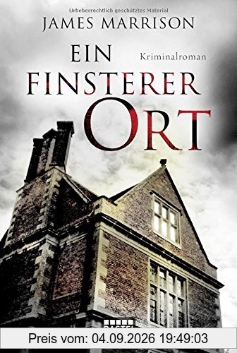 Ein finsterer Ort: Kriminalroman