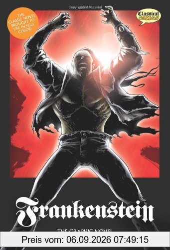 Frankenstein The Graphic Novel: Original Text (Classical Comics)