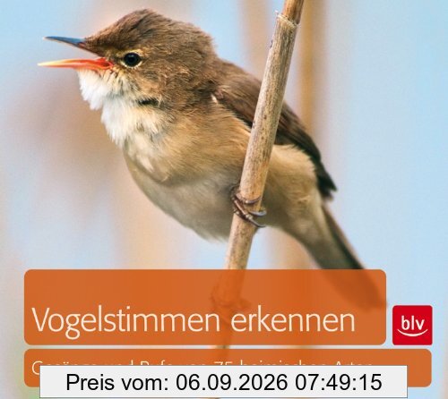 Vogelstimmen erkennen / CD: Gesänge und Rufe von 75 heimischen Arten
