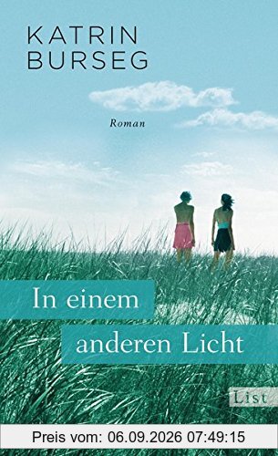 In einem anderen Licht: Roman