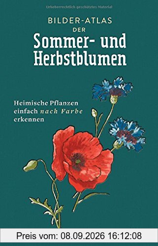 Bilder-Atlas der Sommer- und Herbstblumen - -: Heimische Pflanzen einfach nach Farbe erkennen