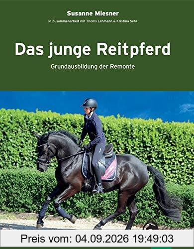 Das junge Reitpferd: Grundausbildung der Remonte
