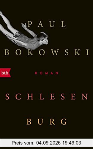 Schlesenburg: Roman
