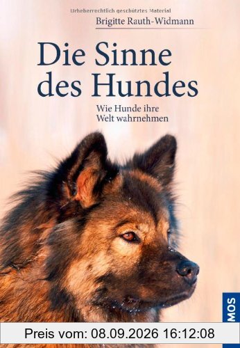 Die Sinne des Hundes: Wie Hunde ihre Welt wahrnehmen