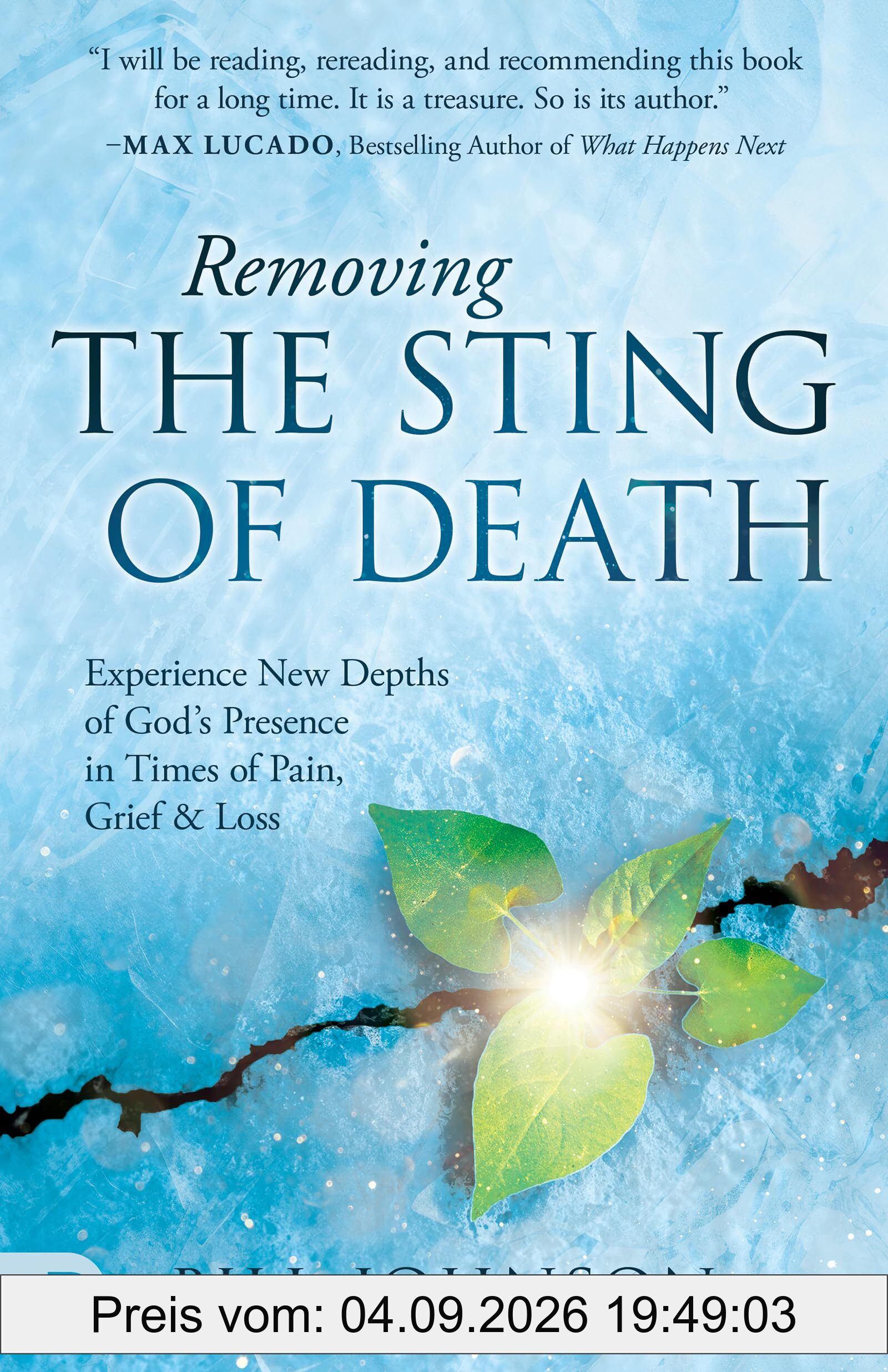 Removing the Sting of Death: Experience New Depths of God's Presence in Times of Pain, Grief and Loss