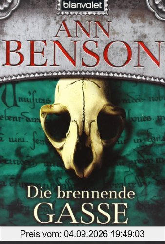 Die brennende Gasse: Roman