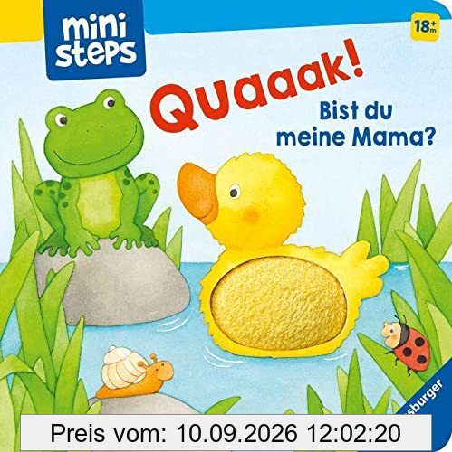 ministeps: Quak! Bist du meine Mama?: Ab 18 Monaten (ministeps Bücher)