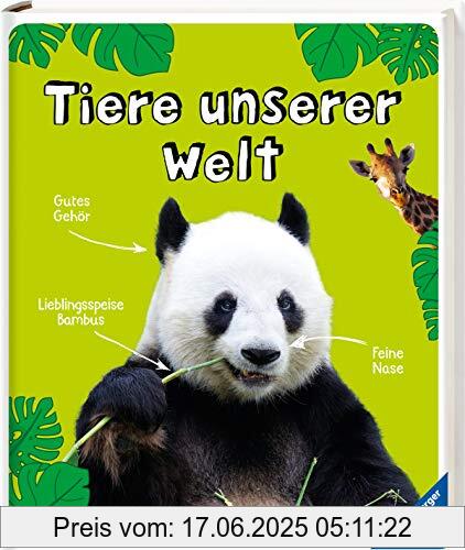 Binding : Gebundene Ausgabe, Edition : 1, Label : Ravensburger Verlag GmbH, Publisher : Ravensburger Verlag GmbH, medium : Gebundene Ausgabe, numberOfPages : 120, publicationDate : 2020-02-01, authors : Kruszewicz, Andrzej G., ISBN : 347355474X