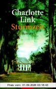 Die Sturmzeit-Trilogie: Sturmzeit: Roman: BD 1