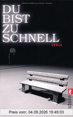 Du bist zu schnell: Roman