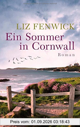 Ein Sommer in Cornwall: Roman