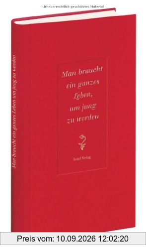 Man braucht ein ganzes Leben, um jung zu werden (insel taschenbuch)