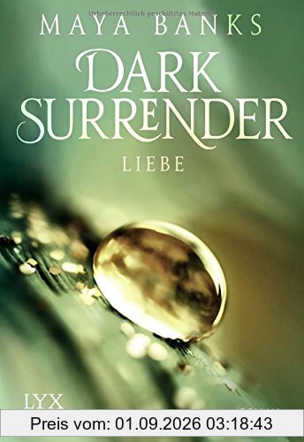 Dark Surrender - Liebe