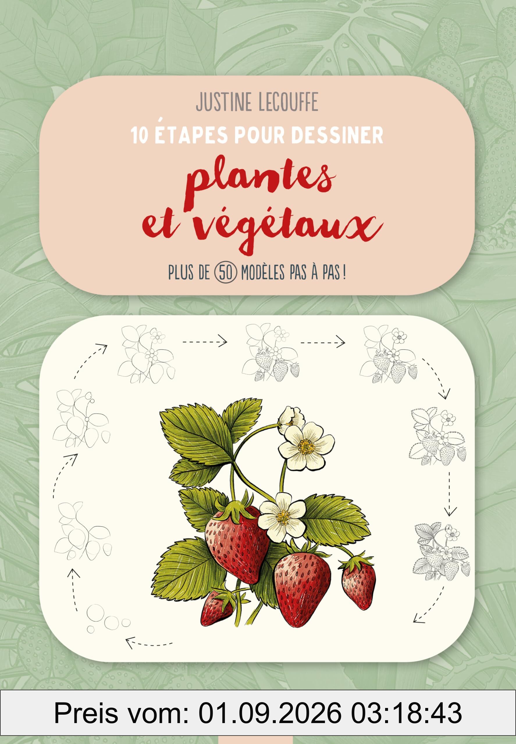 10 étapes pour dessiner plantes et végétaux : plus de 50 modèles pas à pas !