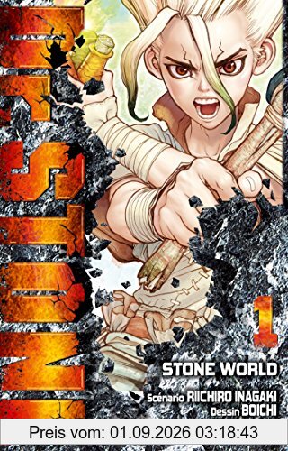 Dr Stone. Vol. 1. Stone world