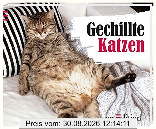 Gechillte Katzen