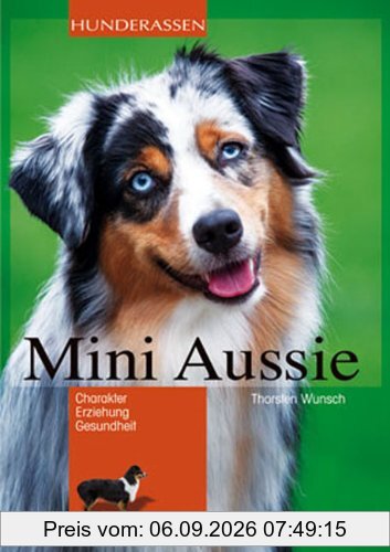 Mini-Aussie: Charakter, Erziehung, Gesundheit