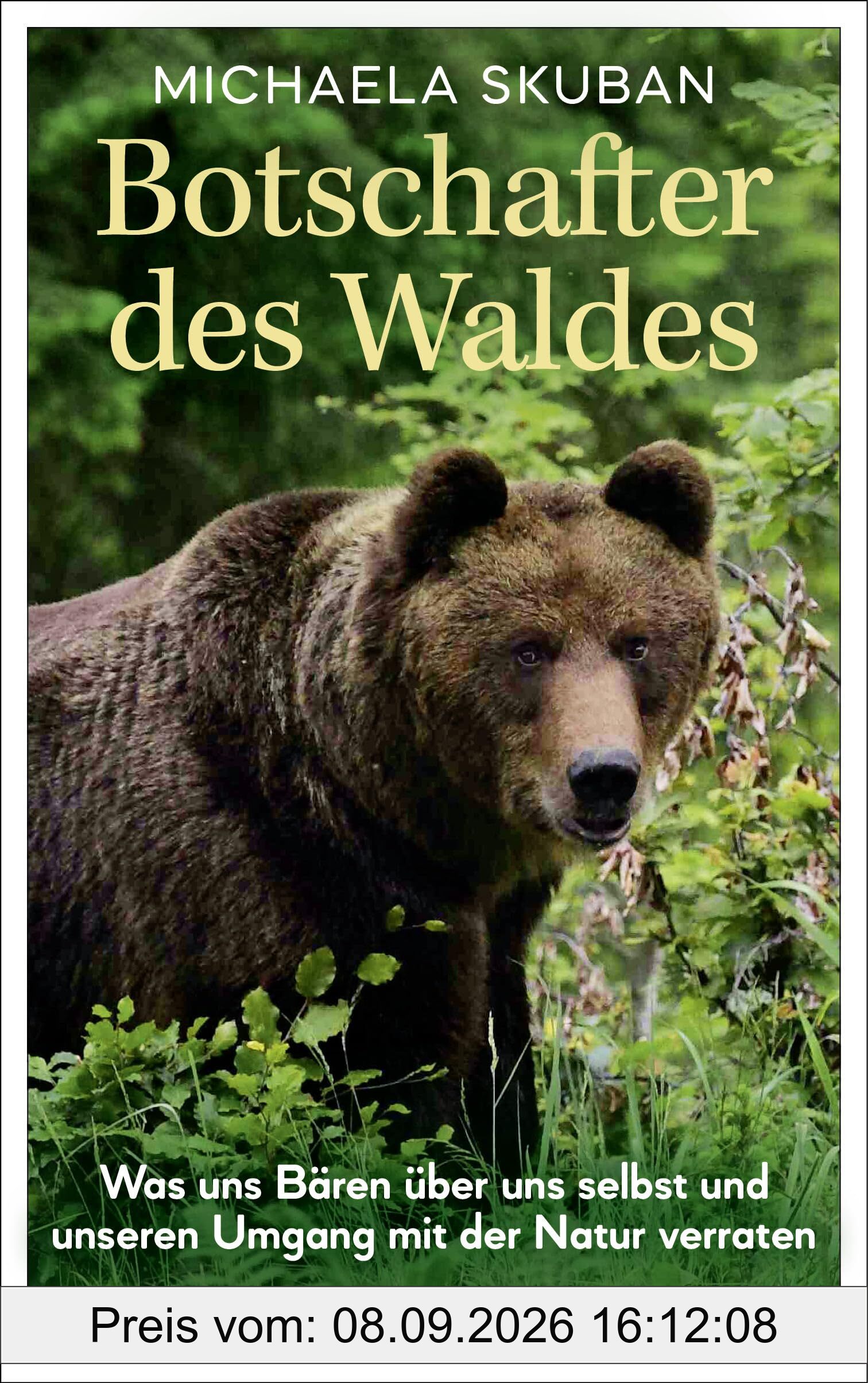 Botschafter des Waldes: Was uns Bären über uns selbst und unseren Umgang mit der Natur verraten