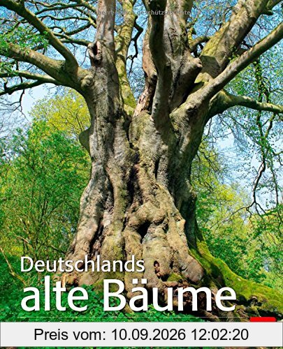 Deutschlands alte Bäume: Sagenhafte Baumgestalten zwischen Küste und Alpen