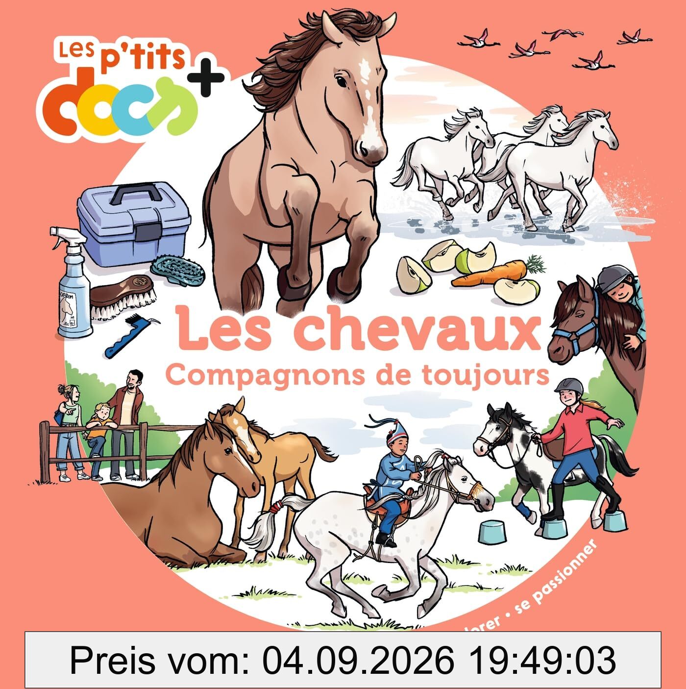 Les chevaux : compagnons de toujours