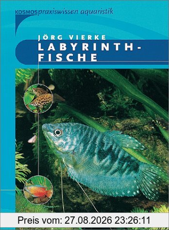Labyrinthfische