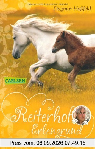 Reiterhof Erlengrund, Band 4: Das Fohlen Filina